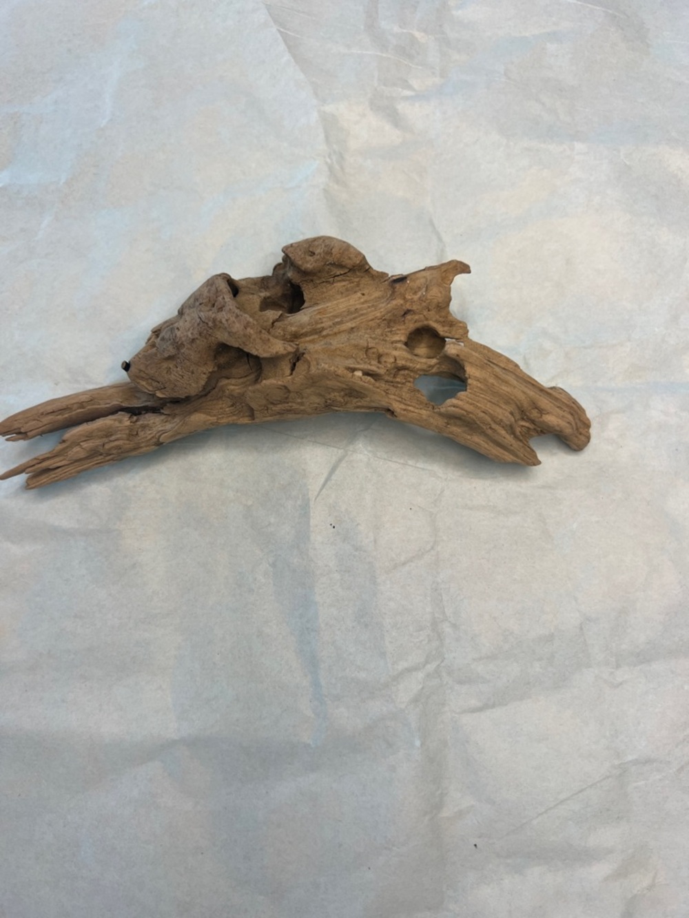 Natural Brown Driftwood from Potomac River